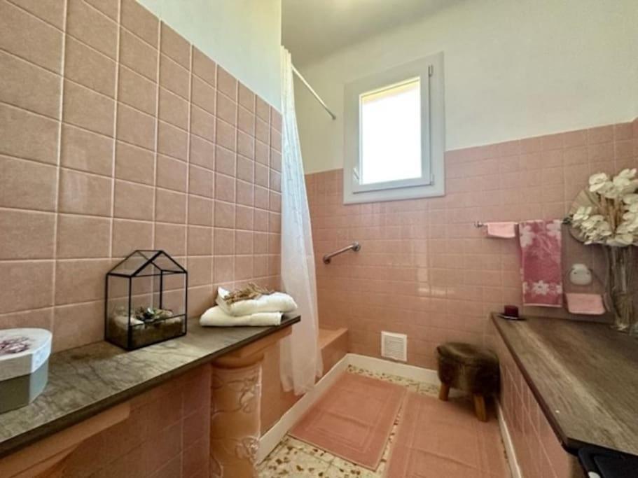 Appartement St Laurent Saint-Laurent-de-la-Salanque Dış mekan fotoğraf